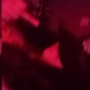 Meet your Posher, Ella